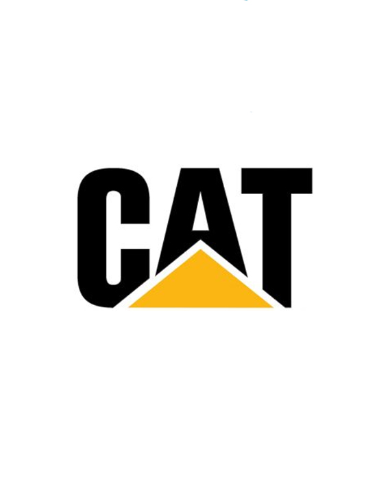 DIESEL INJECTOR SOLUTIONS